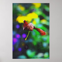 Suspended Leaf Print