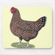 Sussex:  Speckled Hen