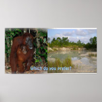 Sustainability: the choices we make print