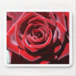 Sustainable Love Mouse Pad
