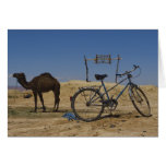 Sustainable transportation cards