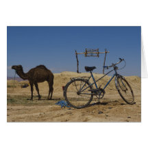 Sustainable transportation cards