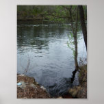 Suwannee River Florida Posters