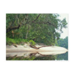 Suwannee River sandbar postcards