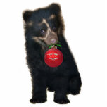 Suyana Andean Bear Photo Sculpture