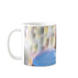 Suzi the Calico Cat mugs