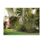 SW Florida Tropical Garden Postcard