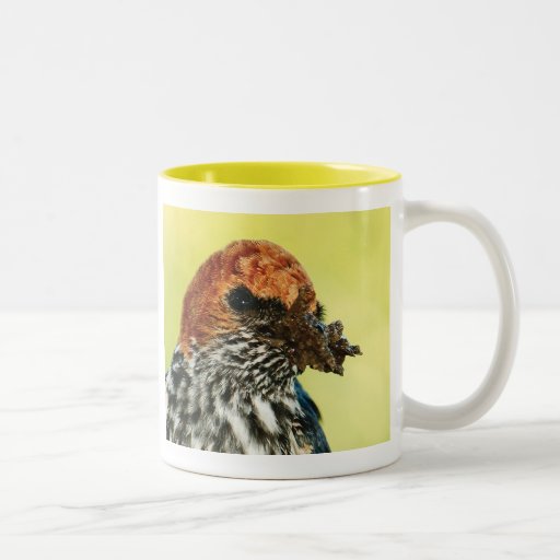Swallow avian - coffee mugs & cups