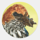 Swallow avian stickers
