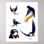 Swallow Character posters