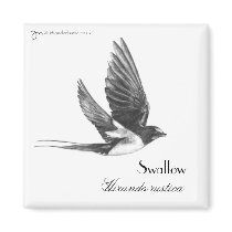 Swallow in flight magnets