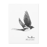 Swallow in flight postcards