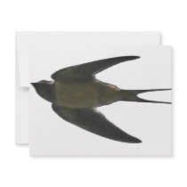 Swallow Invite