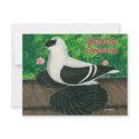 Swallow Pigeon:  Saxon invitations