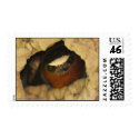 Swallow postage