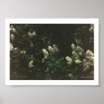 Swallow Tail #01, (C) Jack Taylor, Zazzle.com/J... Print