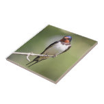 Swallow Tile
