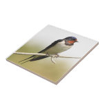 Swallow Tile