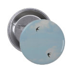 Swallows Birds Buttons