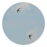 Swallows Birds stickers