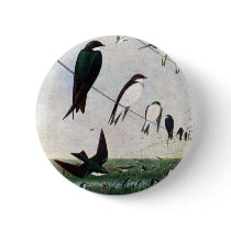 Swallows on a Power Line Button