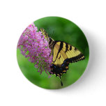 Swallowtail Butterfly Button 3