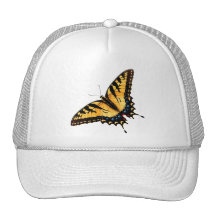 Swallowtail Butterfly Cap Hat