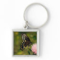 Swallowtail Butterfly keychains