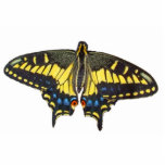 Swallowtail butterfly - Pin photo sculptures