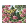 Swallowtail Butterfly Pink Flowers Garden Painting Post Cards