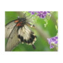 Swallowtail Butterfly Postcard