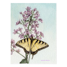 Swallowtail Butterfly Postcard