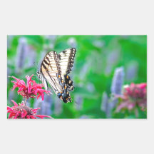 Swallowtail Butterfly Rectangle Stickers