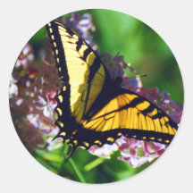 Swallowtail Butterfly Sticker