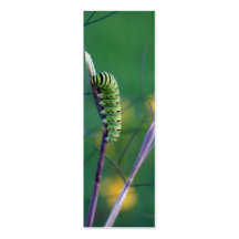 Swallowtail Cat Science Bookmark Business Card