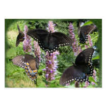 Swallowtail Collage ~ ATC