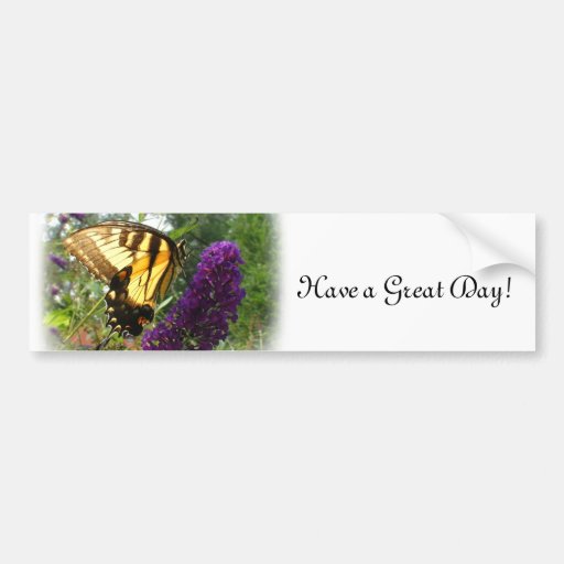 Swallowtail on butterfly bush bumper stickers