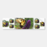 Swallowtail on butterfly bush bumper stickers