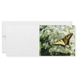 Swallowtail on White Hydrangea rack cards