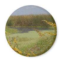 Swamp In Louisiana Fridge Magnets