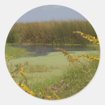 Swamp In Louisiana Round Sticker