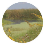 Swamp In Louisiana stickers