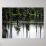 Swamp land posters