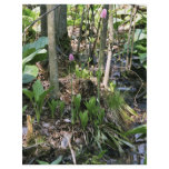 Swamp pink growing in a wetland habitat flyers