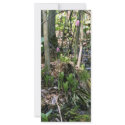 Swamp pink growing in a wetland habitat rack cards