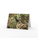 Swamp Thing cards