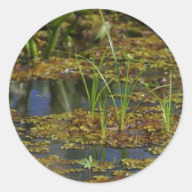 Swamps Lake Round Stickers