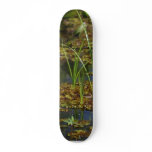 Swamps Lake skateboards