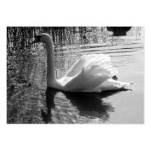 Swan 2013 pocket calendar business card template