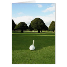 Swan at Hampton Court Palace, UK Cards
